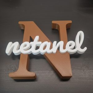 N אות שם מעוצבת בהתאמה אישית